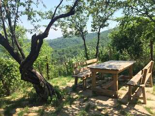 Гостевой дом The Forest House Трявна-3